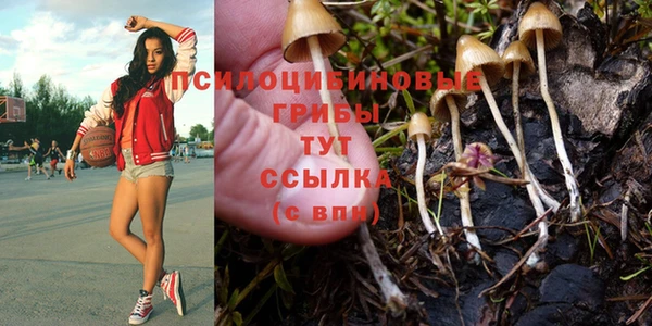 соль ск Верея